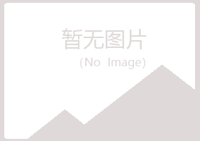 河池青寒水泥有限公司